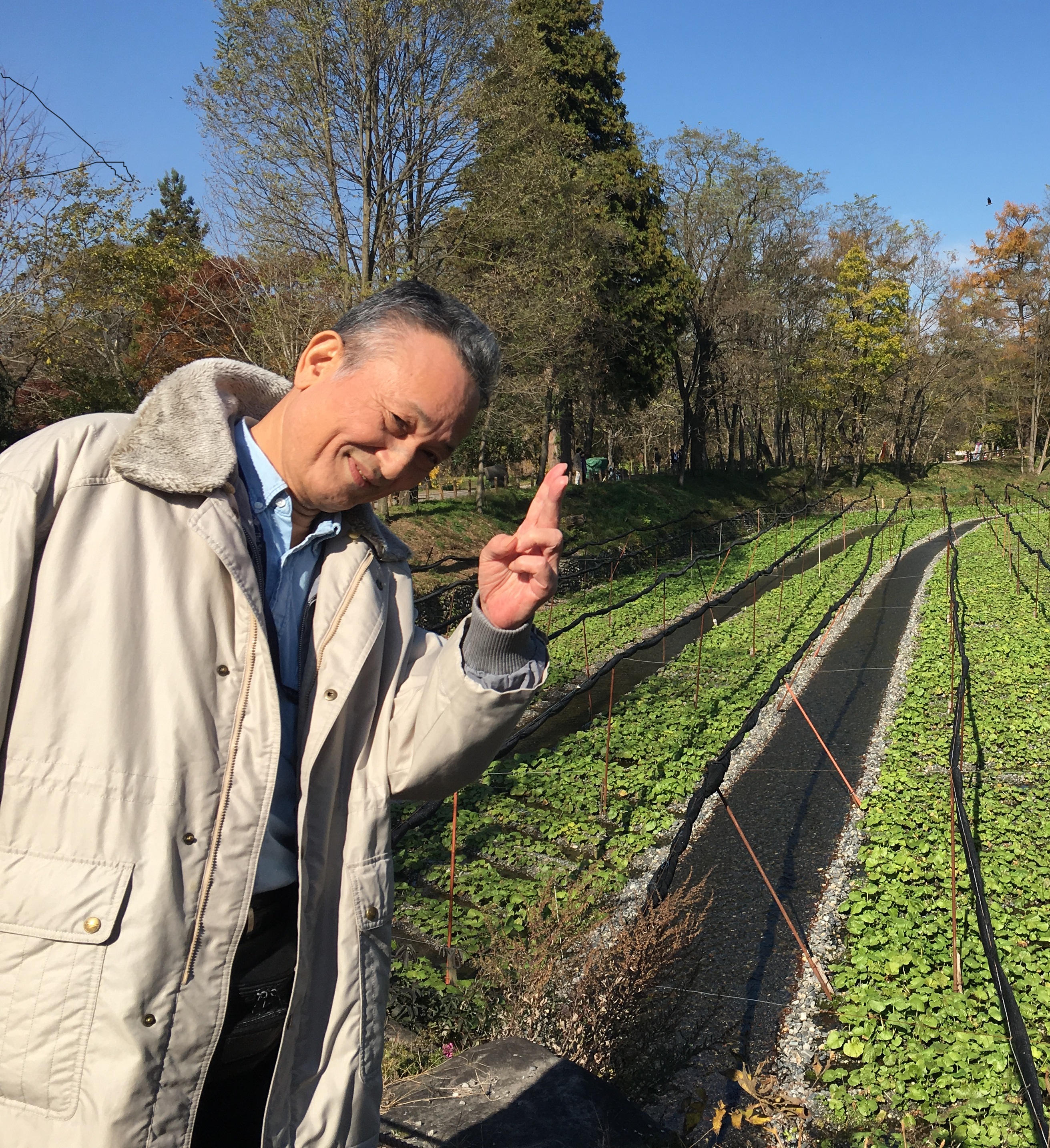 ������Ѓ��[�G�[���